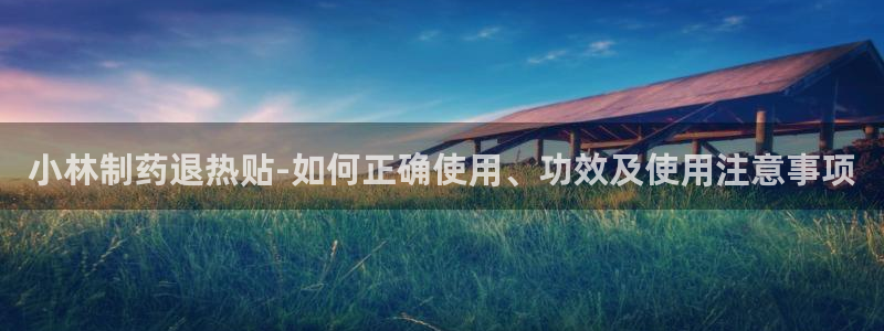 九游老哥俱乐部官网登录网址：小林制药退热贴-如何正确使用、功效及使用注意事项