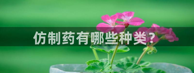 九游会老哥必备的交流社区九：仿制药有哪些种类？