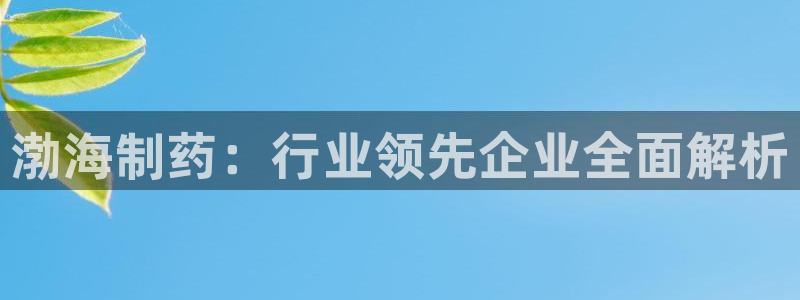 九游会老哥俱乐部官网首页：渤海制药：行业领先企业全面解析