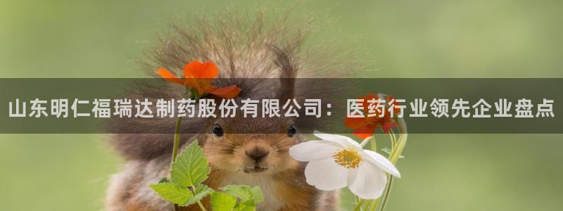 老哥吧九游会下架吗：山东明仁福瑞达制药股份有限公司：医药行业领先企业盘点