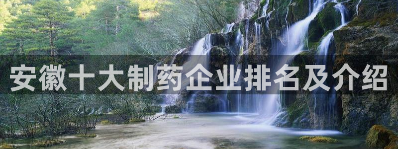 九游会老哥俱乐部交流社区：安徽十大制药企业排名及介绍