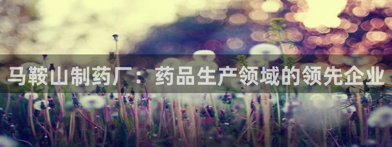 九游会老哥：马鞍山制药厂：药品生产领域的领先企业