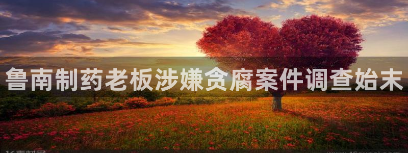 九游老哥俱乐部官网登录网址：鲁南制药老板涉嫌贪腐案件调查始末