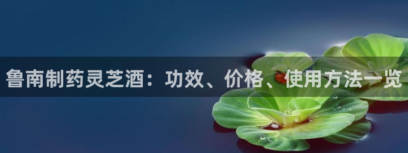 九游老哥俱乐部官网登录不了：鲁南制药灵芝酒：功效、价格、使用方法一览