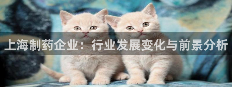 九游会老哥：上海制药企业：行业发展变化与前景分析