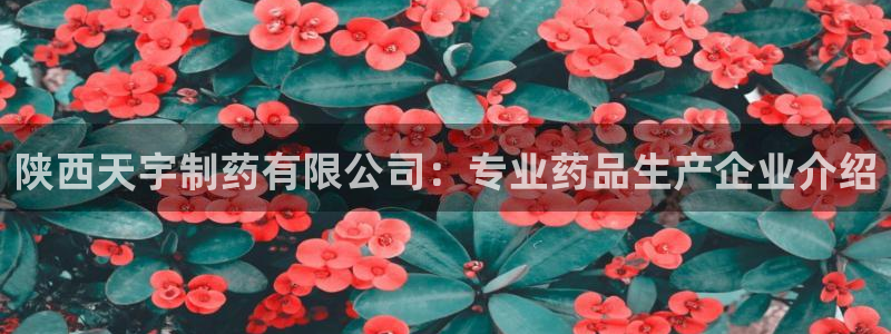 九游会老哥必备的交流社区九：陕西天宇制药有限公司：专业药品生产企业介绍