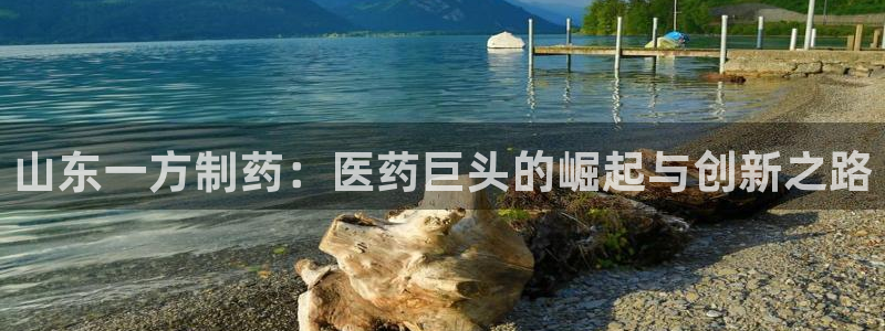 9游会老哥俱乐部：山东一方制药：医药巨头的崛起与创新之路