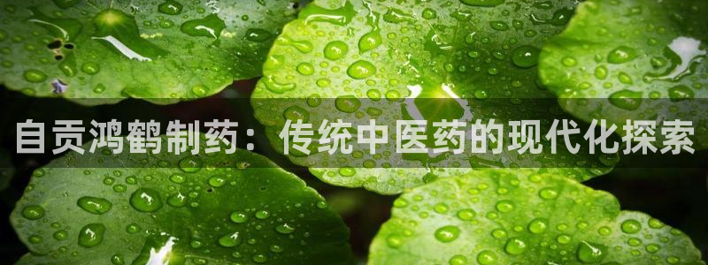 九游会老哥俱乐部社区论坛：自贡鸿鹤制药：传统中医药的现代化探索