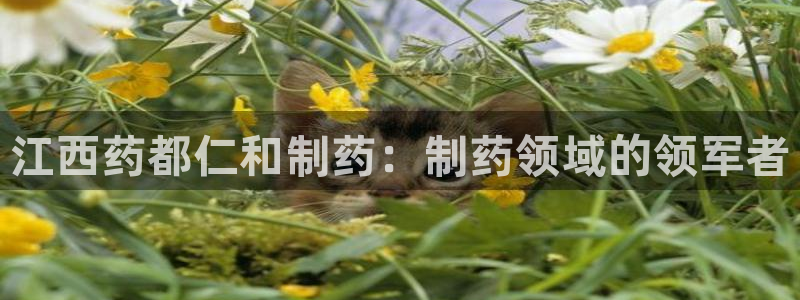 九游老哥俱乐部官网登录不了：江西药都仁和制药：制药领域的领军者
