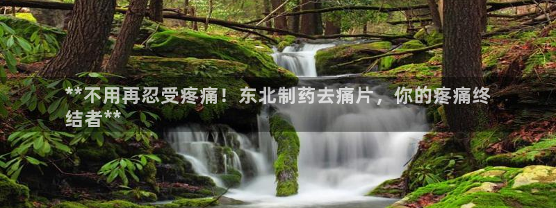 9游会老哥俱乐部：**不用再忍受疼痛！东北制药去痛片，你的疼痛终
结者**