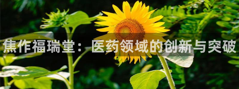 ag九游会老哥俱乐部：焦作福瑞堂：医药领域的创新与突破