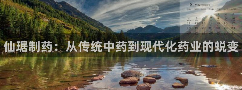 老哥俱乐部是干什么的：仙琚制药：从传统中药到现代化药业的蜕变