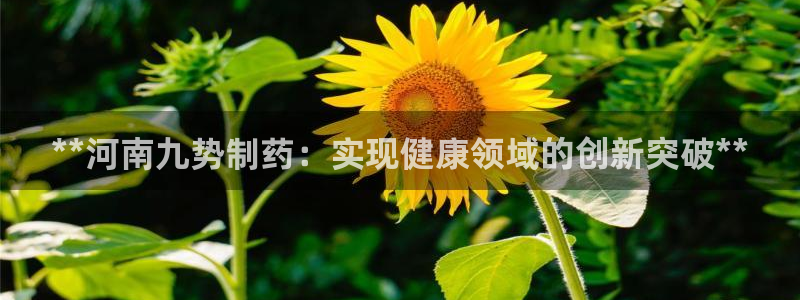 老哥吧九游会下架吗：**河南九势制药：实现健康领域的创新突破**