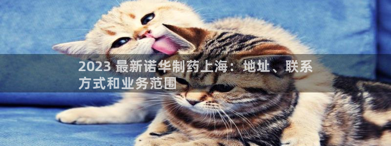 九游会老哥俱乐部社区论坛：2023 最新诺华制药上海：地址、联系
方式和业务范围