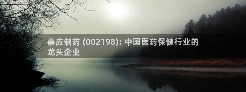 九游会老哥俱乐部官网首页：嘉应制药 (002198): 中国医药保健行业的
龙头企业
