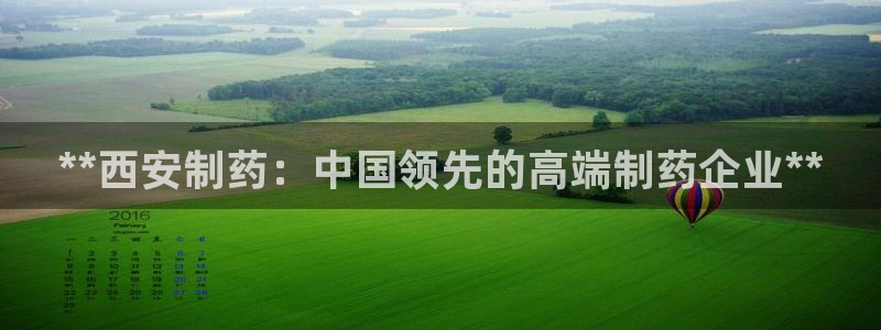 九游会老哥俱乐部论坛版：**西安制药：中国领先的高端制药企业**