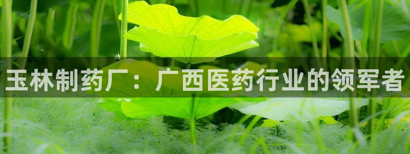 九游会老哥俱乐部交流社区：玉林制药厂：广西医药行业的领军者