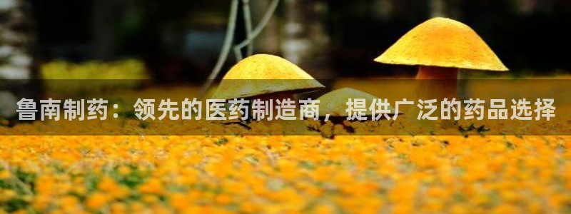 9游会老哥俱乐部：鲁南制药：领先的医药制造商，提供广泛的药品选择