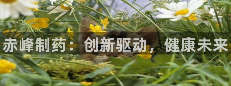 九游会老哥必备的交流社区九：赤峰制药：创新驱动，健康未来