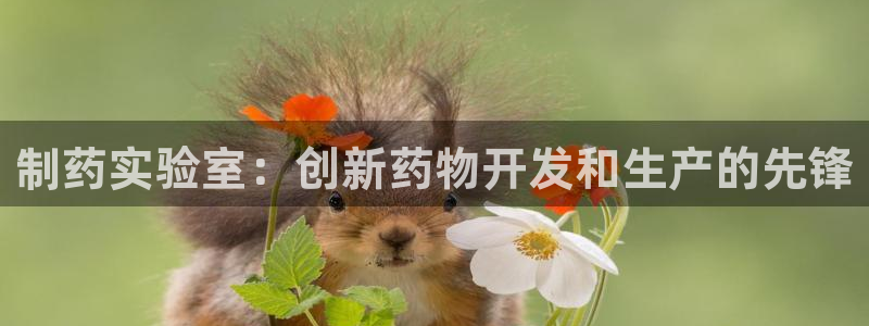 九游会老哥俱乐部社区论坛：制药实验室：创新药物开发和生产的先锋