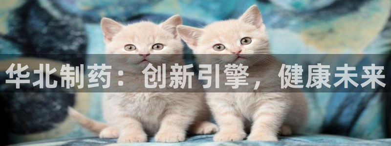 九游会老哥俱乐部官网首页：华北制药：创新引擎，健康未来