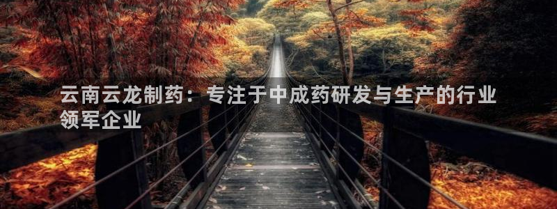 九游会老哥必备的交流社区九：云南云龙制药：专注于中成药研发与生产的行业
领军企业