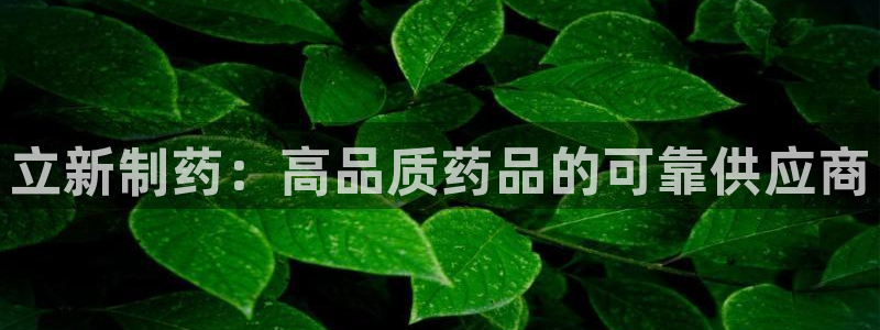 老哥俱乐部是干什么的：立新制药：高品质药品的可靠供应商