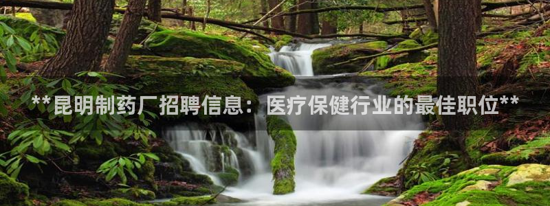 j9九游会老哥俱乐部交流区：**昆明制药厂招聘信息：医疗保健行业的最佳职位**
