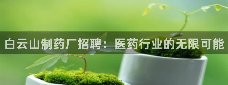九游会老哥必备的交流社区九：白云山制药厂招聘：医药行业的无限可能