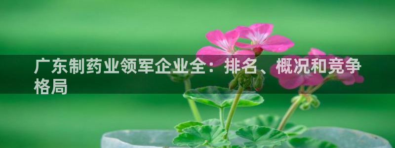 九游会老哥俱乐部社区论坛：广东制药业领军企业全：排名、概况和竞争
格局