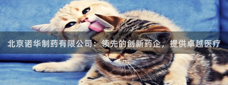 九游会老哥俱乐部官网首页：北京诺华制药有限公司：领先的创新药企，提供卓越医疗
