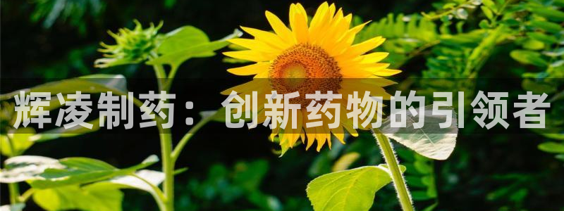 九游老哥俱乐部官网登录网址：辉凌制药：创新药物的引领者