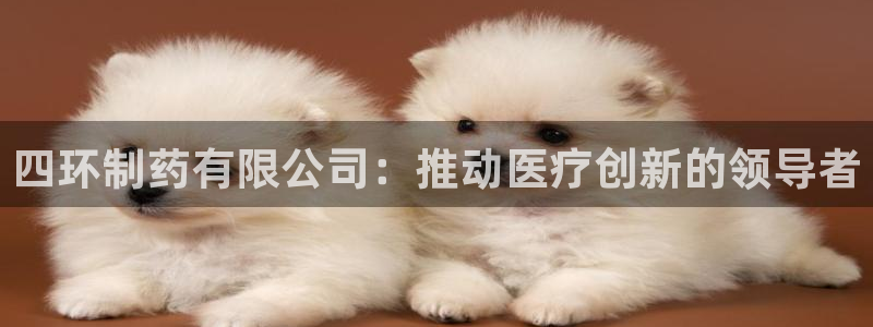 九游会老哥俱乐部官方网站：四环制药有限公司：推动医疗创新的领导者