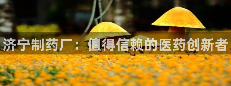 ag九游会老哥俱乐部：济宁制药厂：值得信赖的医药创新者