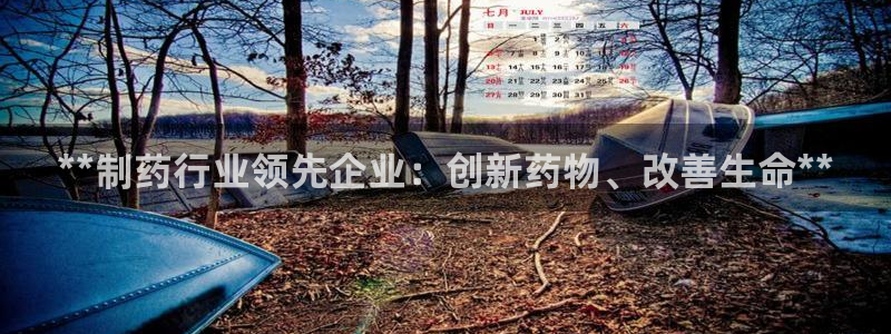 usdt九游会老哥俱乐部：**制药行业领先企业：创新药物、改善生命**