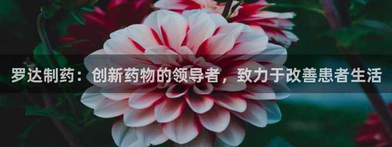 老哥吧九游会：罗达制药：创新药物的领导者，致力于改善患者生活
