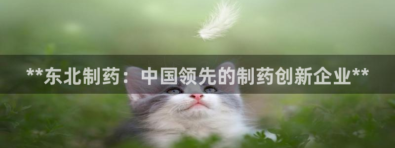九游会老哥俱乐部社区论坛：**东北制药：中国领先的制药创新企业**