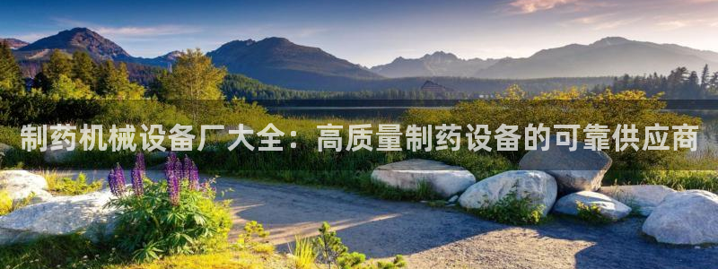 九游老哥俱乐部官网登录网址：制药机械设备厂大全：高质量制药设备的可靠供应商