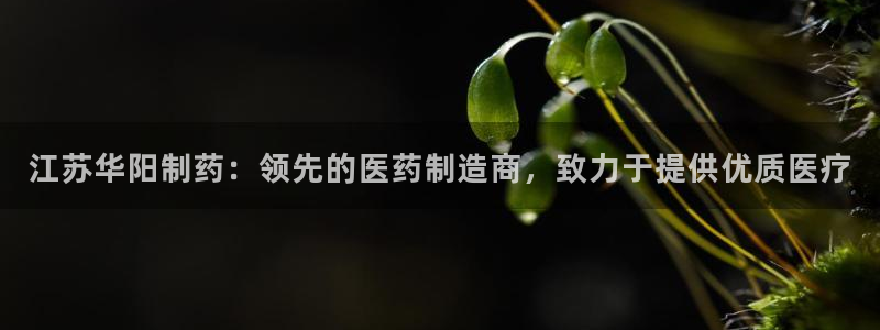 九游会老哥：江苏华阳制药：领先的医药制造商，致力于提供优质医疗
