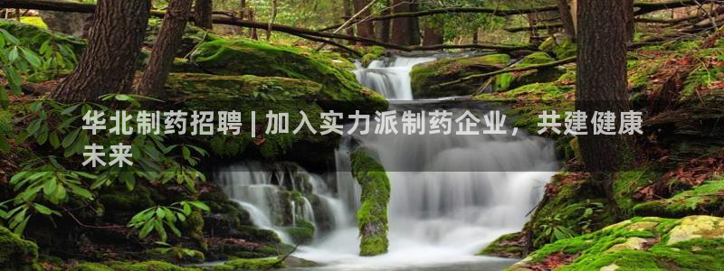 ag九游老哥俱乐部