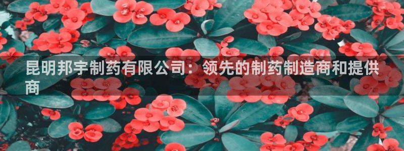 九游老哥俱乐部官网登录不了：昆明邦宇制药有限公司：领先的制药制造商和提供
商