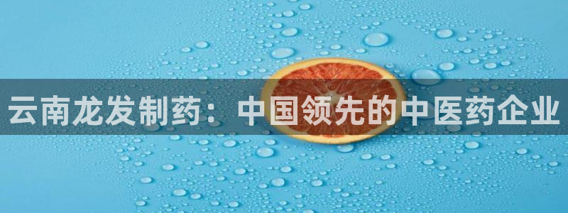 老哥吧九游会：云南龙发制药：中国领先的中医药企业