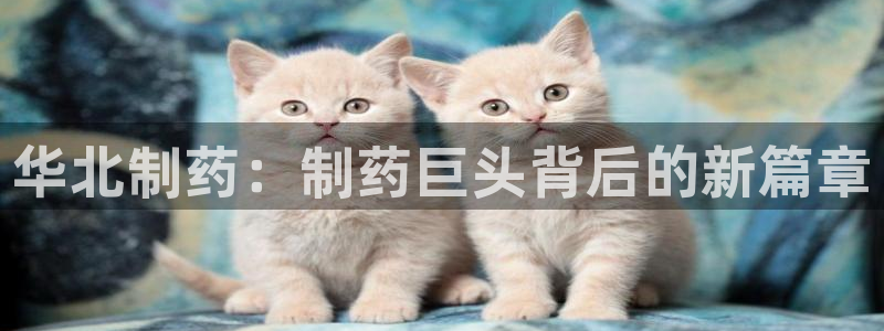 九游会老哥俱乐部交流社区：华北制药：制药巨头背后的新篇章
