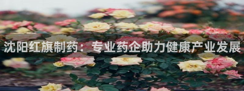 九游会老哥俱乐部必备的交流社区：沈阳红旗制药：专业药企助力健康产业发展