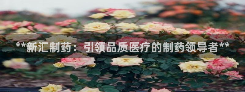 九游会老哥必备的交流社区：**新汇制药：引领品质医疗的制药领导者**