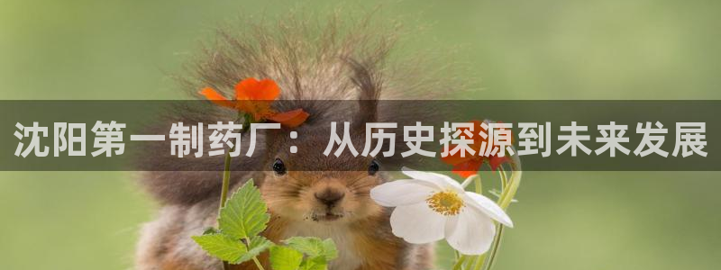 九游会老哥俱乐部交流社区：沈阳第一制药厂：从历史探源到未来发展