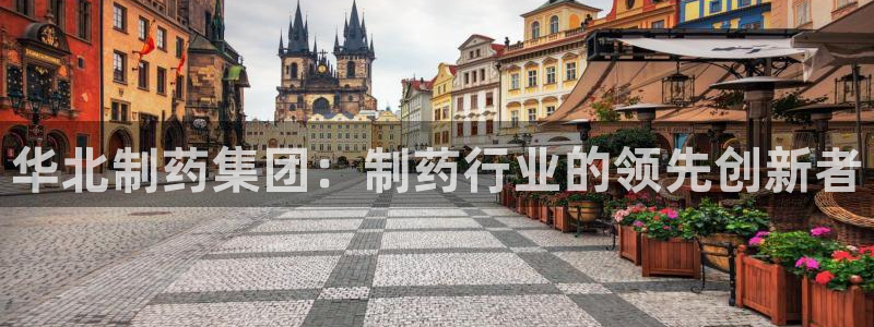 九游会老哥俱乐部官网首页论坛：华北制药集团：制药行业的领先创新者