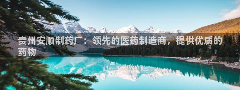 9游会老哥：贵州安顺制药厂：领先的医药制造商，提供优质的
药物