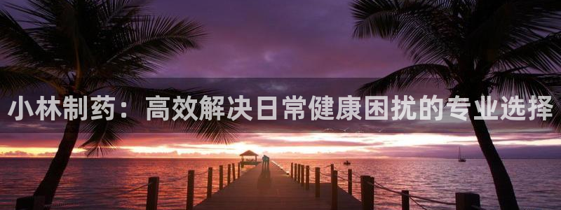 九游老哥俱乐部官网登录入口：小林制药：高效解决日常健康困扰的专业选择