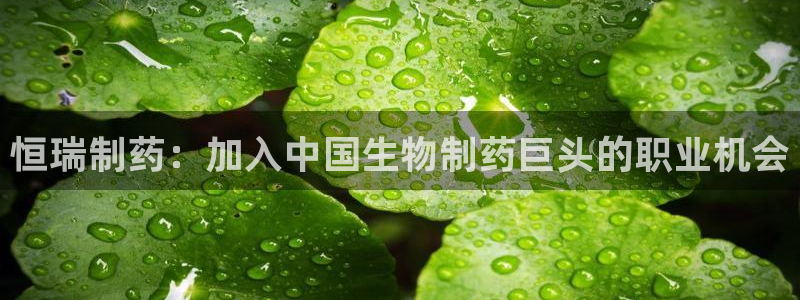 usdt九游会老哥俱乐部：恒瑞制药：加入中国生物制药巨头的职业机会